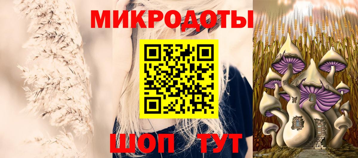 Псилоцибиновые грибы Psilocybe Великие Луки