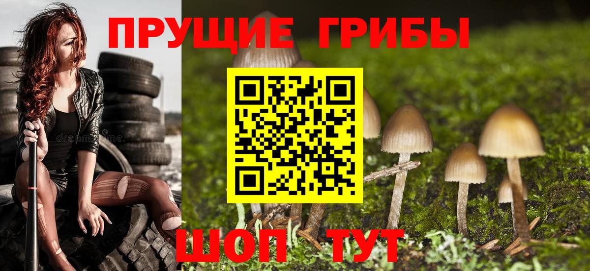Галлюциногенные грибы мицелий  Псилоцибиновые грибы Psilocybe  Вход с VPN  Великие Луки 